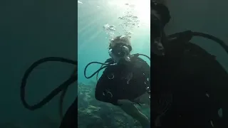 SCUBA Gear Up-Grade #shorts #sailingbyefelicia