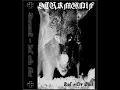 Download Lagu Sturmwolf - Siegeszug
