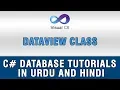 C DataSets and DataTable In Urdu - DataView Class