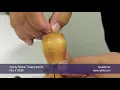 How to Use a Sewing Awl - Speedy Stitcher