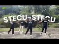 Download Lagu STECU-STECU || Senam Kreasi || Ice Breaking