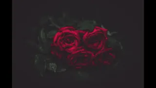 saint jhn roses u0026 tujamo who