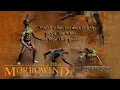 How to Make a Good Character in Morrowind 20th Anniversary Edition