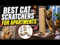 Best Cat Scratching Posts for Apartments Which Is Worth It