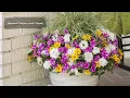 Plant Of The Day August 3 - August 9 30 Off Proven Winners Plants