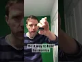 Download Lagu Beginner Harmonica Lesson 1: Holding the harmonica properly