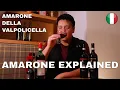 Download Lagu Big RED WINE | Amarone Explained