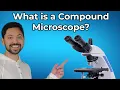 What is a Compound Microscope Explained