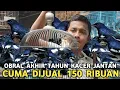 Lagu OBRAL HARGA BURUNG AKHIR TAHUN || KACER JANTAN CUMA 150 RIBUAN DI PASAR BURUNG PRAMUKA 