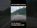 Download Lagu Scenic Drive to Ganting Highland 🌄 | Coolest Highland Escape in Malaysia! 2 #viral #travel #nature