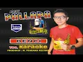 Download Lagu New Pallapa Benci Karaoke Original
