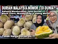 Download Lagu DURIAN MUSANG KING MALAYSIA SEBAGAI DURIAN NOMOR 1 DI DUNIA❓