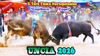 X Toro Tinku Norte Potosino UNCIA 2026 Encuentro:"Capri-Capibara". (Video Oficial) de ALPRO BO.