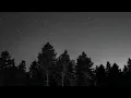 melancholy – alexey kosenko // slowed & reverb (1 hour)