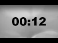 12 Second Timer - Simple Countdown with Alarm