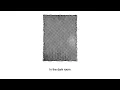 White Chorus - Shine On ft. Adeliesa, Noni, Tarrarin [Official Lyric Video]