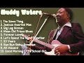 Muddy Waters-Year's hit parade: Hits 2024 Collection-Greatest Hits Lineup-Detached