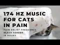 Music for Cats in Pain 174 Hz Pain Relief Frequency for Sick Cats Reiki Healing Sounds