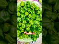 Download Lagu Green field 🥬🥦🥒🍆🫒 #music #dj #edm #tomatoes #tomata #tomato #fruit #streetfood #housemusic