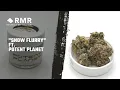 Snow Flurry Strain From Potent Planet Featuring The Mint Cannabis Dispensary In Tempe AZ