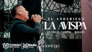 La Avispa - El Andariego / En Vivo El Campín - Bogotá