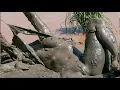 Download Lagu A Girl Survived Alone in the Jungle for 365 Days – No One Believed She’d Make It!