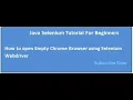How to launch the Empty chrome browser using selenium webdriver in eclipse