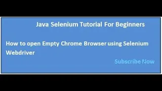 How to launch the Empty chrome browser using selenium webdriver in eclipse