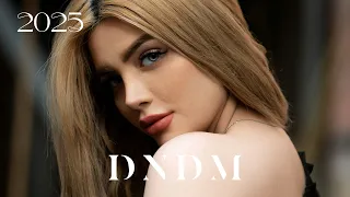 dndm u0026 mr salama i am crazy original mix 