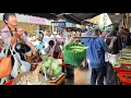 Download Lagu Makanan Jalanan Gelap Tiongkok 😱 Anggur Kadal, Katak Goreng \u0026 Kepiting Mentah Mabuk