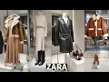 ZARA FALL WINTER LATEST COLLECTION COATS SWEATERS DRESSES