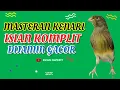 Download Lagu Blur 4 Masteran Burung Kenari Komplit Full Isian - Kicau Favorit