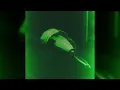 [FREE] Future X Metro Boomin Type Beat "Zootiez"