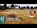 Lagu Aksi Heroik Prajurit TNI Cegah Perang di Perbatasan Lebanon