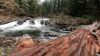 Lucia Falls On The Lewis River Washington 