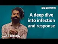 GCSE Biology A deep dive into infection and response Bitesize GCSE Revision