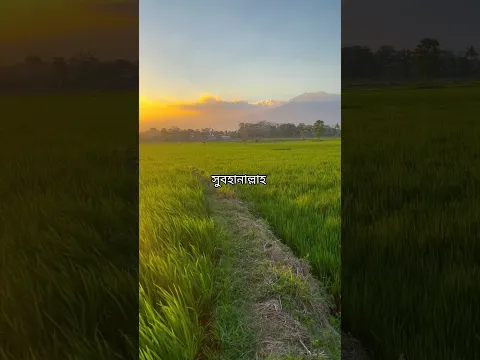 পৃথিবীর শ্রেষ্ঠ সৌন্দর্যতা শুধু প্রকৃতির কছেই। #সুবাহানআল্লাহ #ইসলামিক #প্রকৃতি #shorts