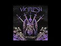 Vioflesh  -  Eternal Dance
