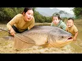 Download Lagu How to Harvest Giant Silver Carp by Bare Hand to Sell at Market - Single Mom's Black Pork Recipe