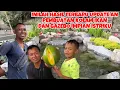 INILAH HASIL TERBARU UPDATE AN PEMBUATAN KOLAM IKAN DAN GAZEBO IMPIAN ISTRIKU 