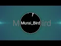 Download Lagu Ringtone Murai Bird HD