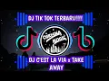 Download Lagu DJ TIK TOK TERBARU!!!! DJ C'EST LA VIE x TAKE AWAY✓FULL BASS
