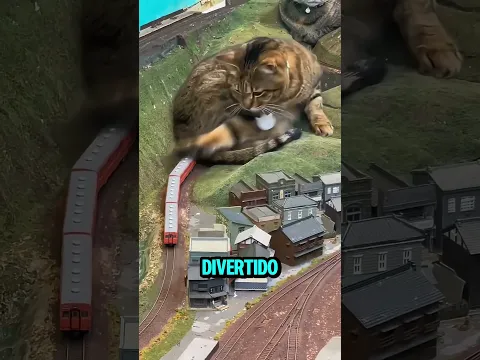 Estos gatos salvaron al hotel de la quiebra 🐱🚂 #youtubeshorts