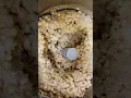 Making Our Homemade Hummus
