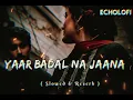 Lagu Yaar Badal Na Jaana Mausam Ki Tarah | यार बदल ना जाना मौसम की तरह | #uditnarayan  #lofi
