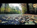 Download Lagu Surah Yaseen Beautiful Recitation | by Mukhtar al-hajj | Islamic Video