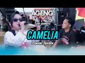 Lagu CAM IZUL - CAMELIA - MAWAR APRILIA AGENG MUSIC LIVE POBERS BANYUWANGI #agengmusic 