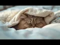 Download Lagu Sweet Dreams Tonight