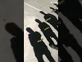 Download Lagu meus amigos que não gostam furry