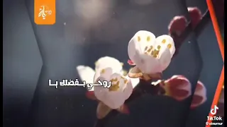 يارب إني قد أتيتك تائبا دندنها